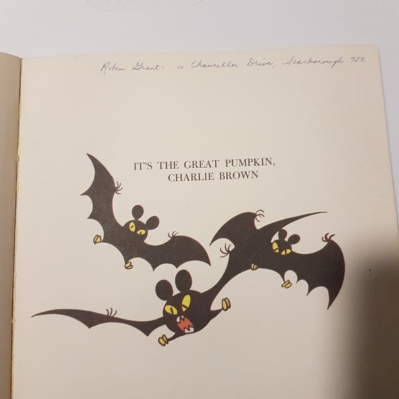 Charlie Brown books, vintage 60's - Picture 6 of 12